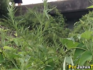 humungous bush japanese pisses